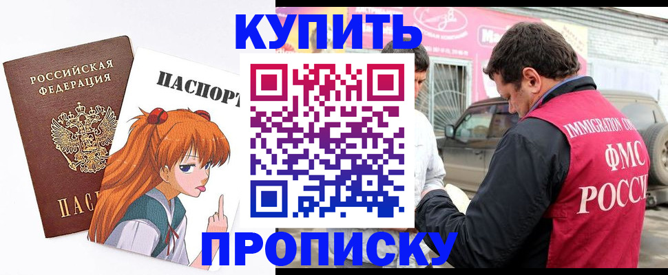 где прописаться в Сураже